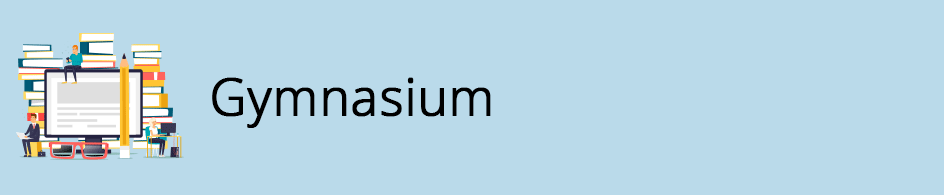 Empfehlungen für Lehrpläne Gymnasium
