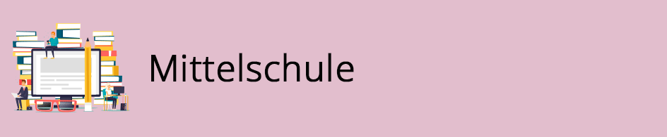 Empfehlungen für Lehrpläne Mittelschule