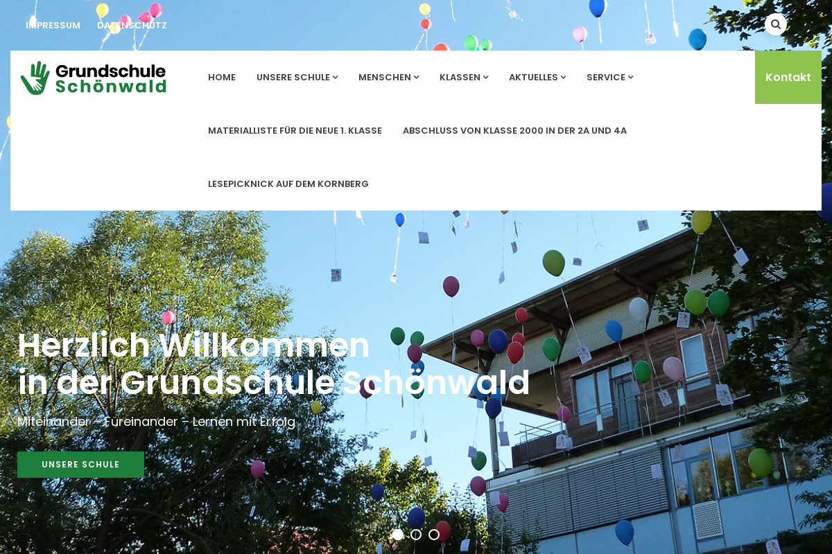 Screenshot der Interneteite der Projektdokumentation